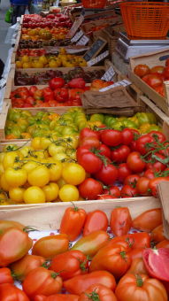 Banc de marché : nombreuses variétés de tomates. Bergerac, printemps 2016